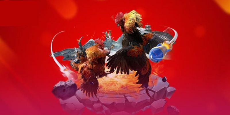 Trực Tiếp Đá Gà Casino SHBET 27 Các bí quyết để nâng cao khả năng thắng trong trực tiếp đá gà casino SHBET